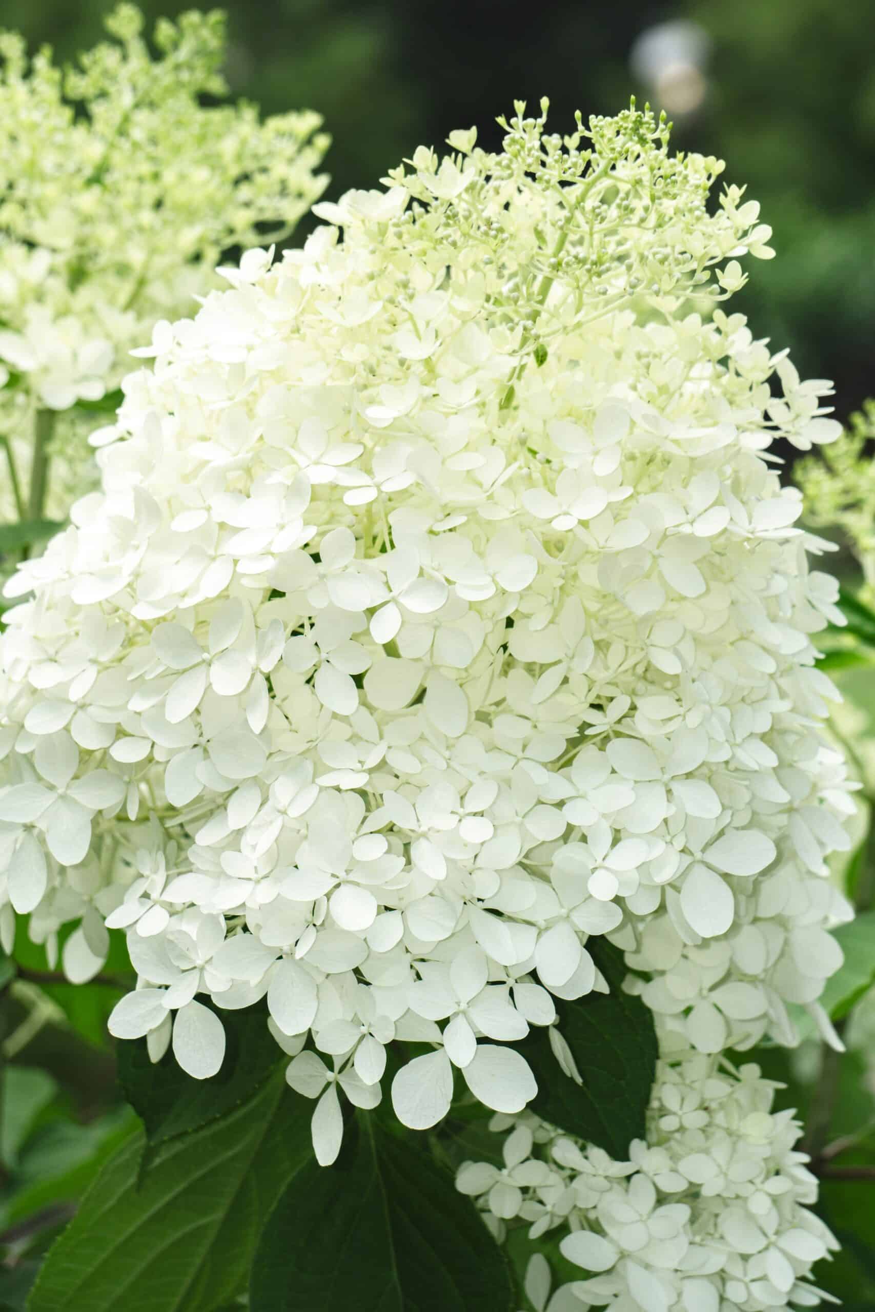 How Can I Stay Up-to-date With The Latest Educational Trends And Innovations In Homeschooling?